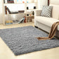 Plush Area Rug