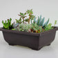 Garden Antique plastic flowerpot